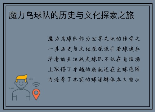 魔力鸟球队的历史与文化探索之旅